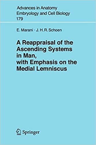کتاب زبان ا ریپریزیال اف د اسندینگ A Reappraisal of the Ascending Systems in Man, with Emphasis on the Medial Lemniscus