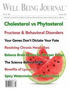 کتاب مجله انگلیسی ول بینگ ژورنال Well Being Journal - Vol. 31 No. 3, Summer 2022