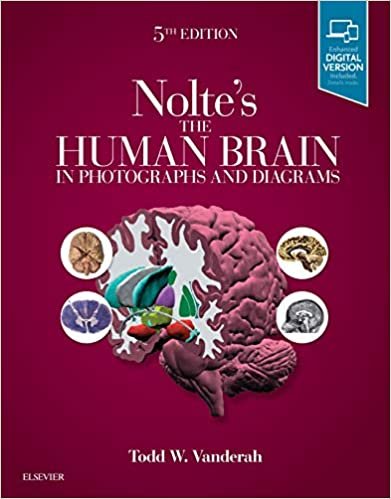 کتاب نولتز د هیومن برین این فتوگرفز اند دیاگرامز Nolte’s The Human Brain in Photographs and Diagrams, 5th Edition2019